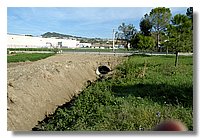 DSC_3296 (Large).JPG
