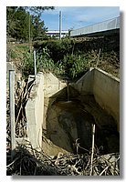 DSC_3298 (Large).JPG