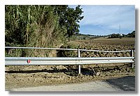 DSC_3303 (Large).JPG