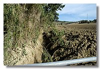 DSC_3304 (Large).JPG