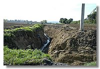 DSC_3305 (Large).JPG