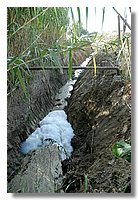 DSC_3308 (Large).JPG