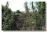 DSC_3309 (Large).JPG