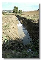 DSC_3310 (Large).JPG