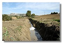 DSC_3311 (Large).JPG