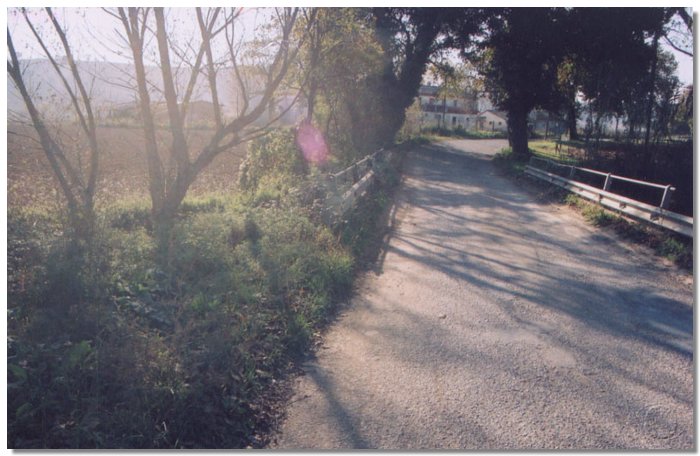 Untitled-1.jpg