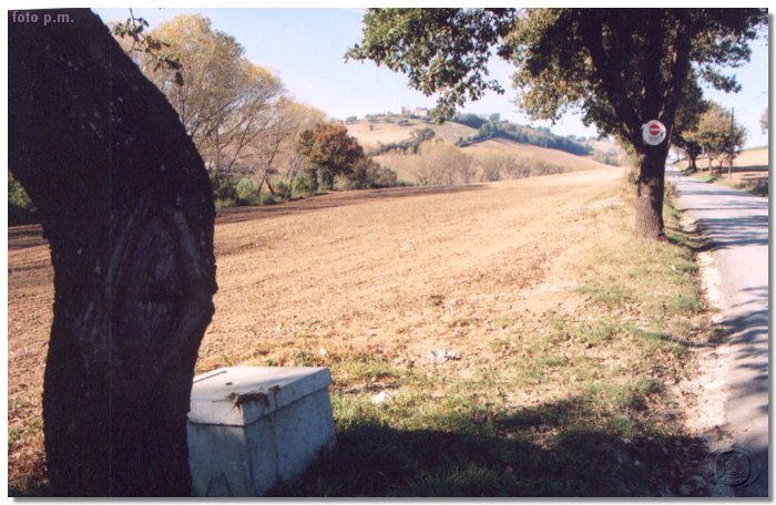 Untitled-3.jpg