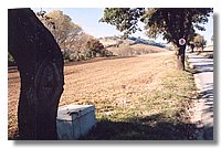 Untitled-3.jpg
