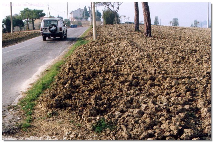 2 (Large).jpg