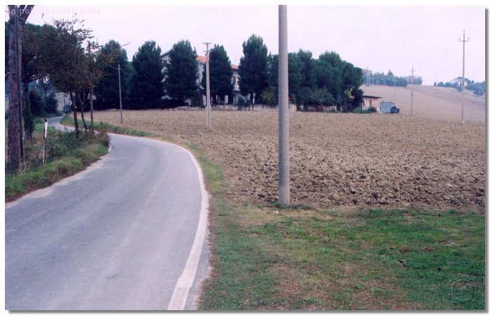 4 (Large).jpg
