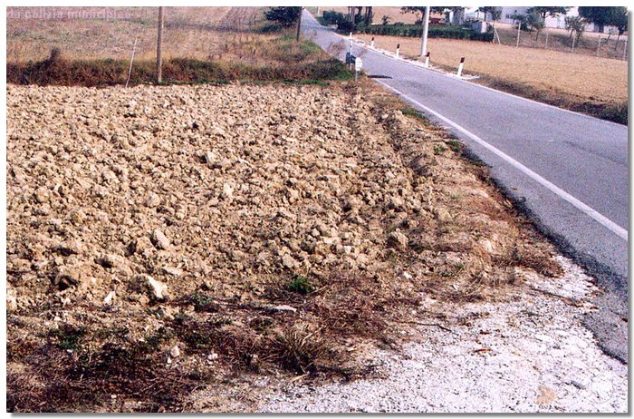 7 (Large).jpg