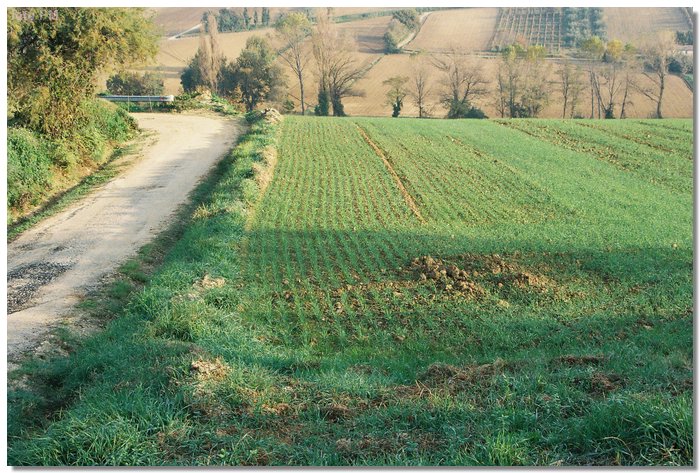 F1000002.JPG