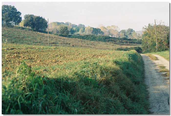F1000008.JPG