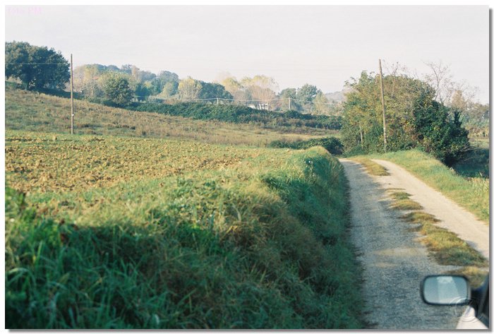 F1000009.JPG