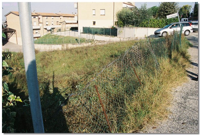 F1000017.JPG