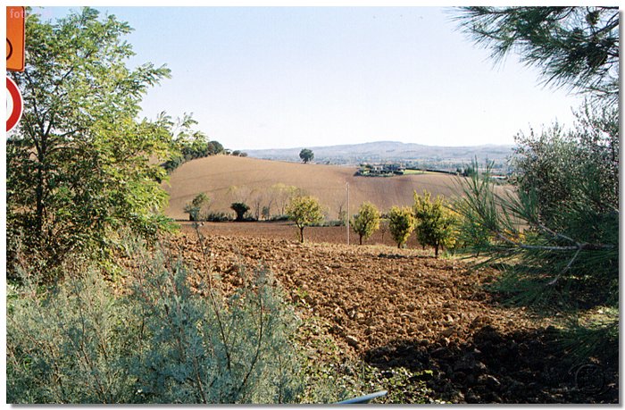 campoceraso2.jpg