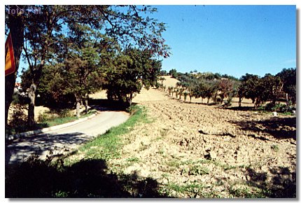 campoceraso3.jpg
