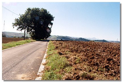campoceraso4.jpg