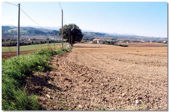 gaiano 3.jpg