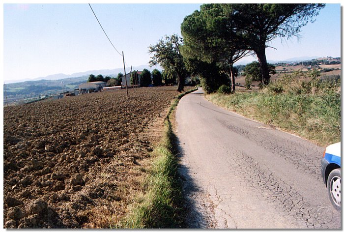 osteriola1.jpg