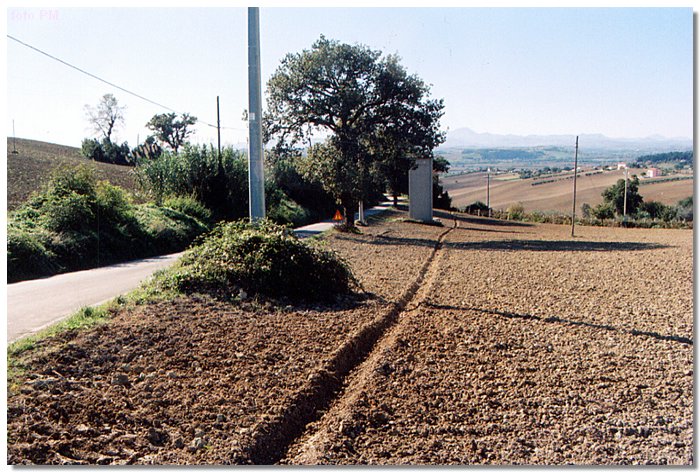 osteriola2.jpg