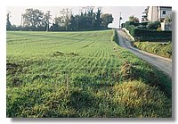 F1000001.JPG