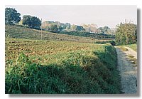 F1000008.JPG