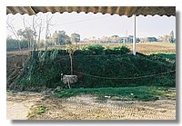 F1000014.JPG