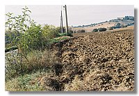 F1000019.JPG