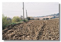 F1000020.JPG