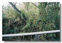 F1000024.JPG