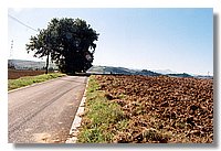 campoceraso4.jpg