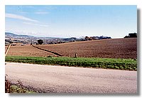 croce del monte 1.jpg