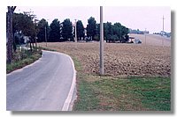 4 (Large).jpg