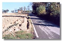 5 (Large).jpg