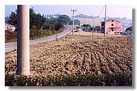 6 (Large).jpg