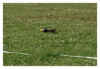 IMG_5805.JPG