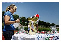 IMG_5944.JPG