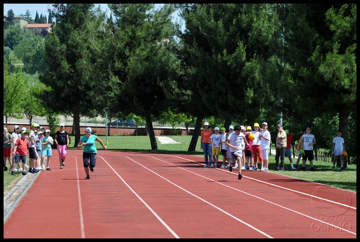 GG_09_OSIMO_AN_FOTO_BS_075.JPG