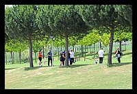 FBS_7714 (Large).JPG