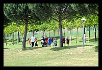 FBS_7715 (Large).JPG