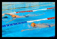 FBS_7631 (Large).JPG