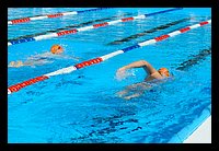 FBS_7633 (Large).JPG