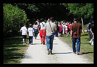 FBS_7646 (Large).JPG