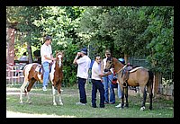 FBS_7649 (Large).JPG