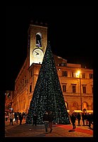 albero 2009