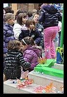 FBS_8949.JPG