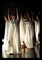 FBS_7844 (Large).JPG
