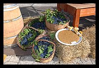 FBS_7231.JPG