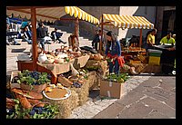 FBS_7283.JPG
